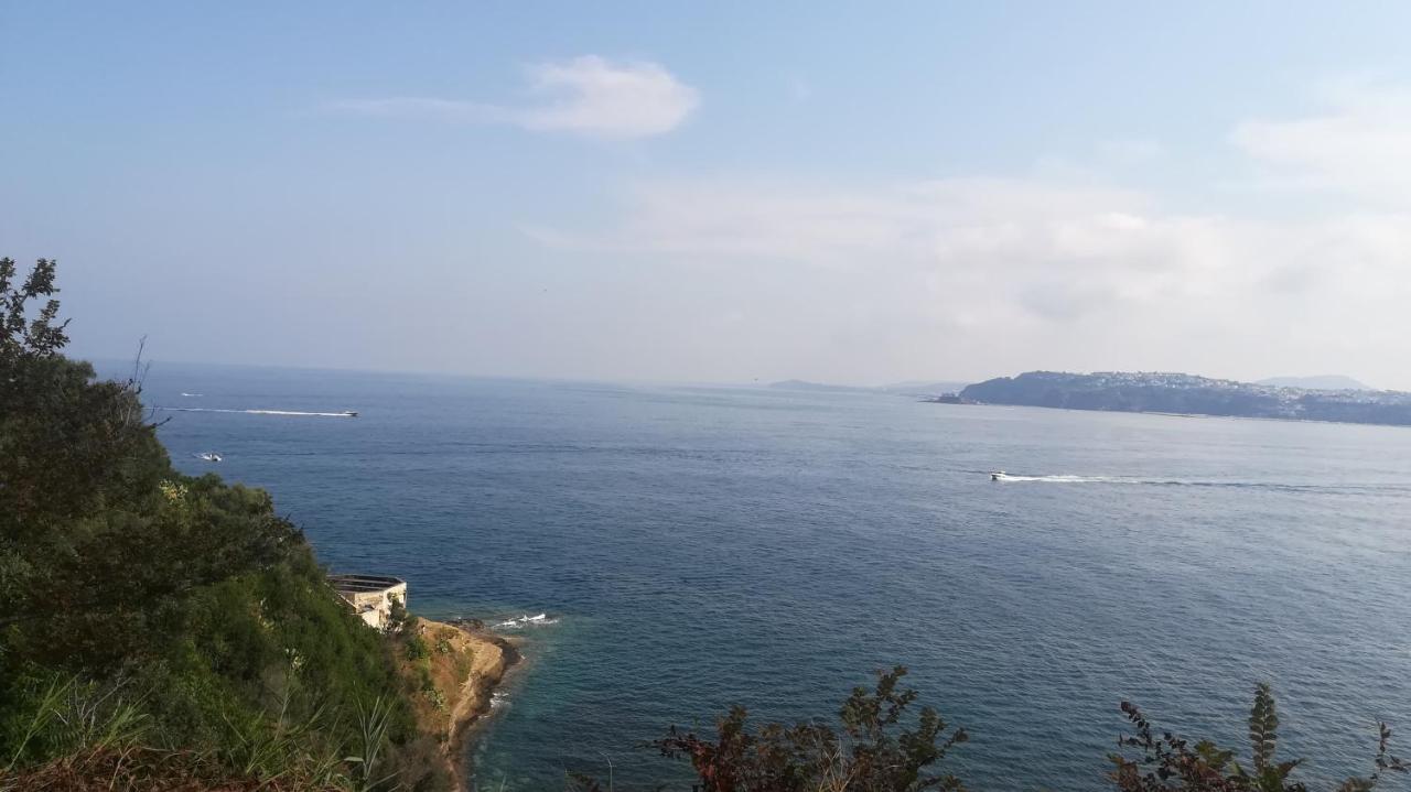 Le Querce Villa Procida Buitenkant foto